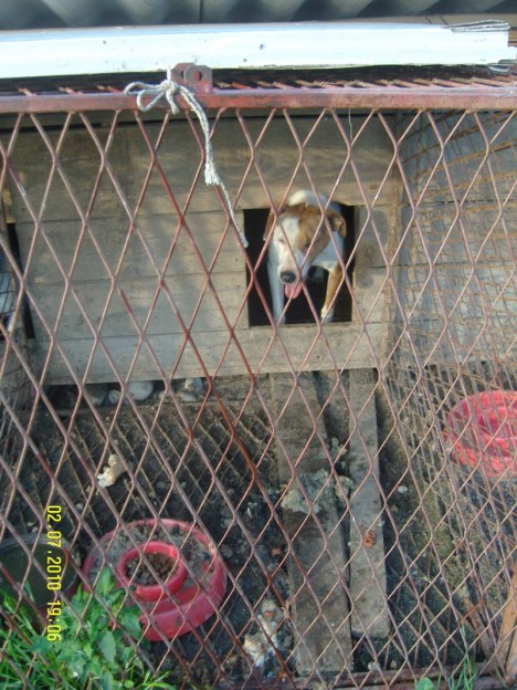 SAMSUNG DIGITAL CAMERA