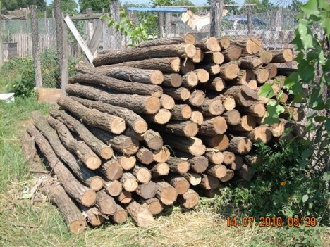wood for new doghouse corners