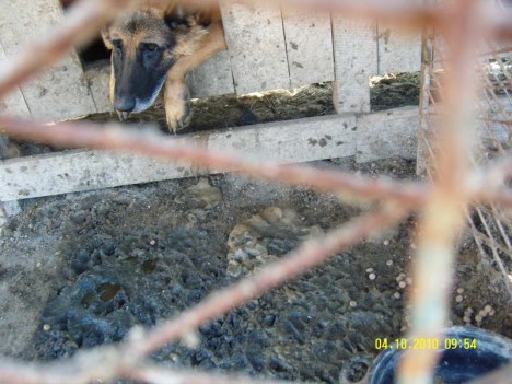 SAMSUNG DIGITAL CAMERA