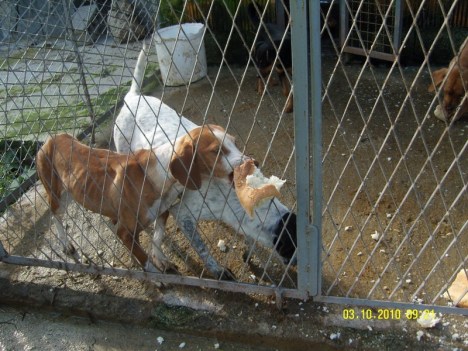 SAMSUNG DIGITAL CAMERA