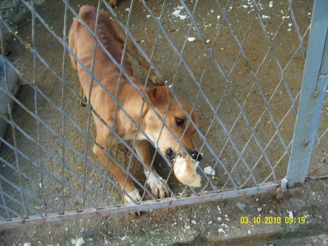 SAMSUNG DIGITAL CAMERA