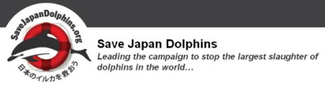 save japan dolphins