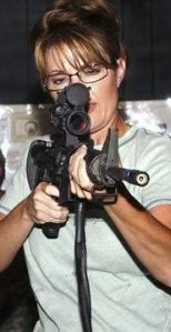 Palin gun