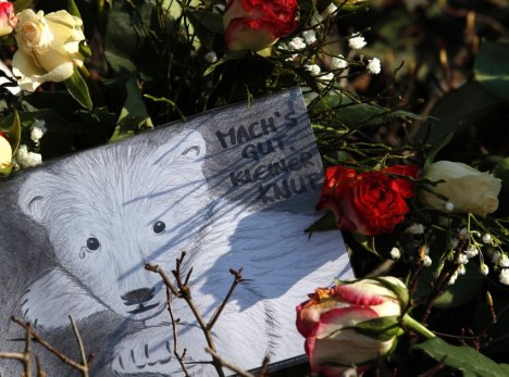 A drawing of Knut is placed next to flowers at the bear enclosure at the Berlin zoo
