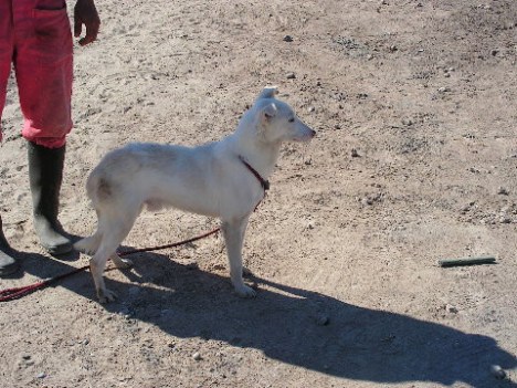 KONICA MINOLTA DIGITAL CAMERA