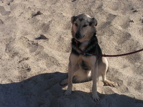 KONICA MINOLTA DIGITAL CAMERA