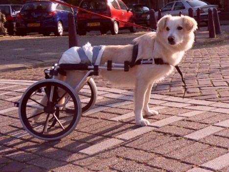 SAMSUNG DIGITAL CAMERA