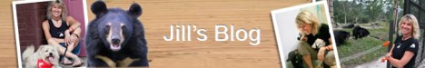 Jills blog