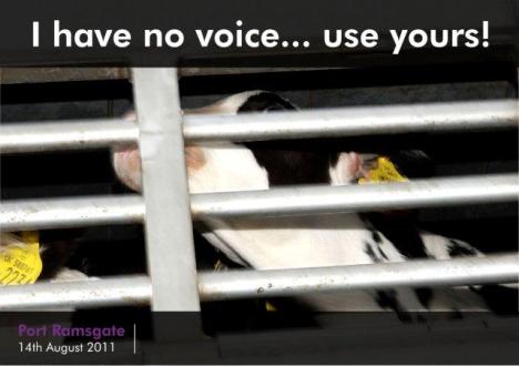 I have no voice poster