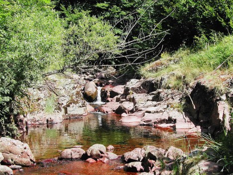 Javorska river, Stara planina, july