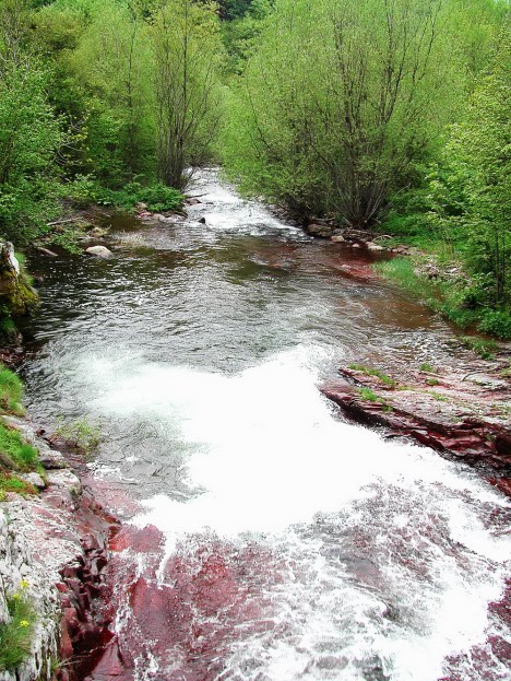 Toplodolska river, Stara planina