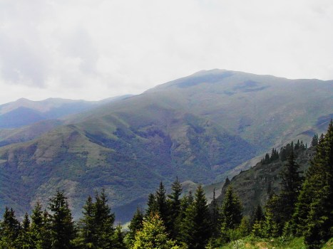 Top Midzor, Popove livade