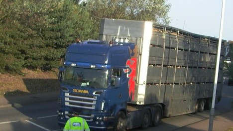 SANYO DIGITAL CAMERA