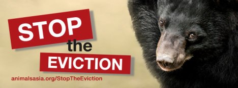 stop eviction banner
