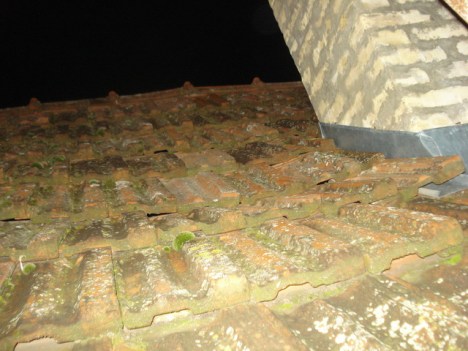 DSC05647_resize - ULEGLI CREPOVI NA KROVU