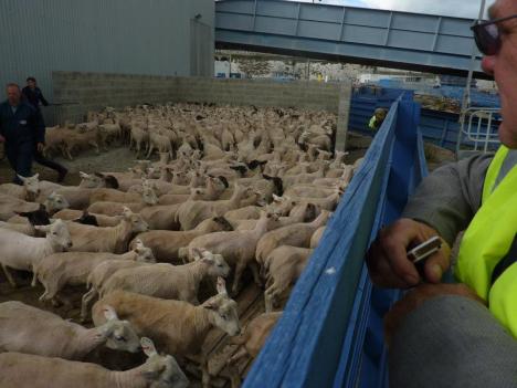 Roche holding facility in port