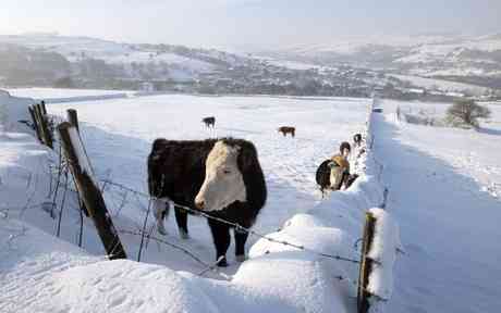 Snow at Gillroyd Lane, Linthwaite.
