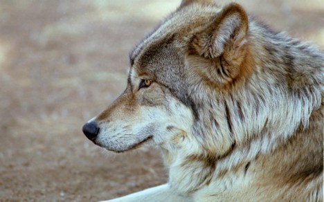 ???????????????????????????????