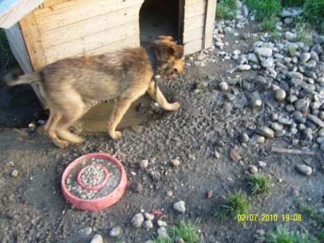 SAMSUNG DIGITAL CAMERA