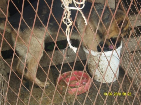 SAMSUNG DIGITAL CAMERA