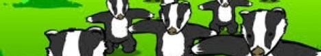 cropped-badgers1.jpg