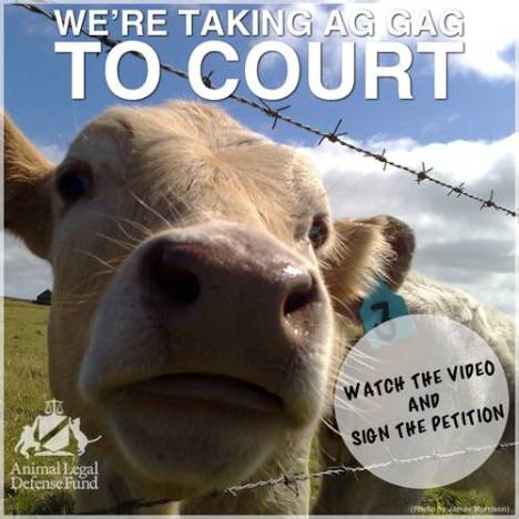 animal legal defense fund