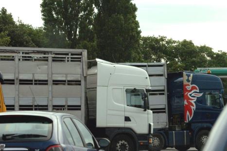 ValCameron0005_080812