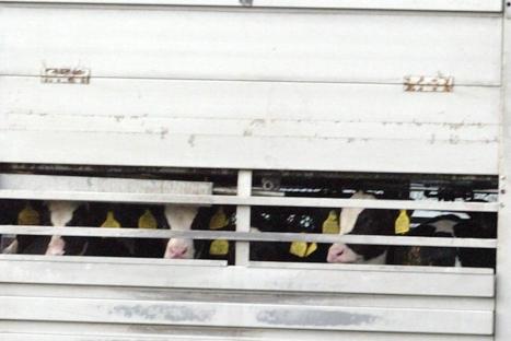 ValCameron0006_080812