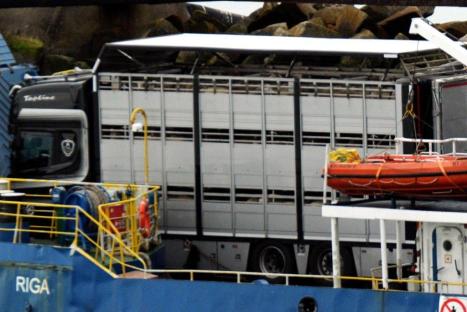 0ValCameron4459_080812