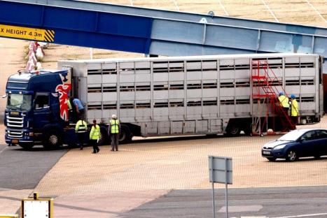 ValCameron0060_080812 (1)