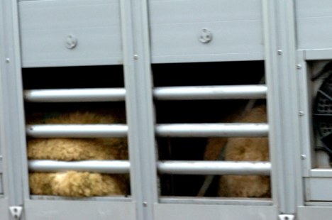 ValCameron_230813_027