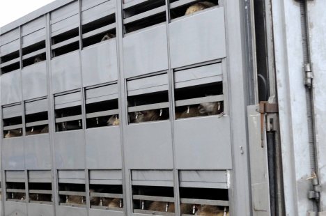 ValCameron_230813_7402