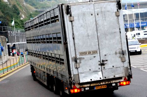 ValCameron_230813_7403