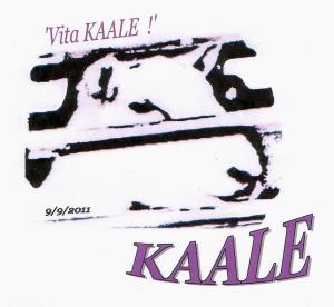 Vita KAALE Logo 9 9 2011