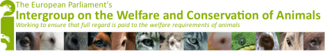 animal-welfare-intergroup