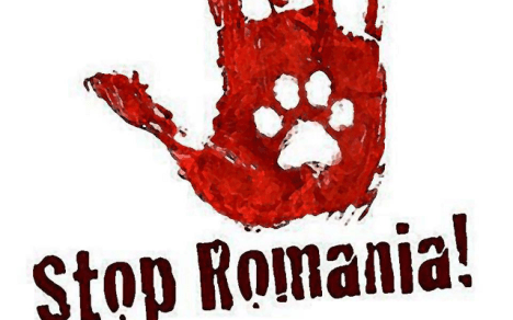 red romania 2