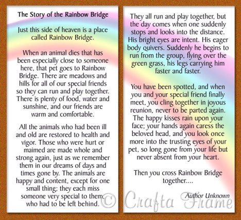 rainbow bridge 2