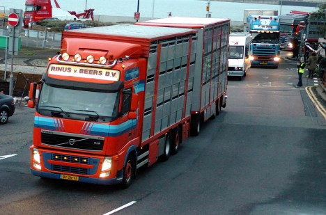 ValCameron141113_0009 _7