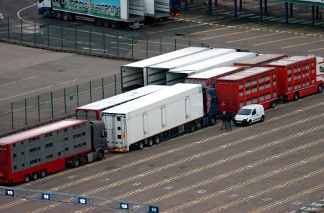 ValCameron141113_0024 _14