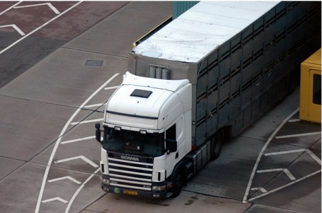 ValCameron141113_0039 _12