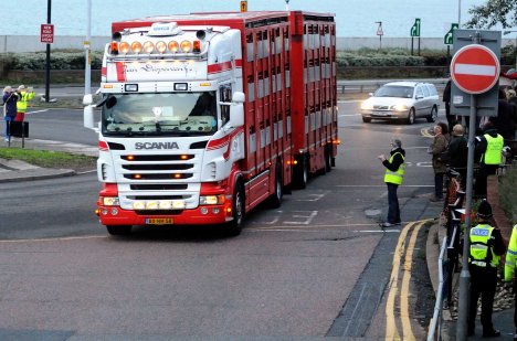 ValCameron141113_7604 _1