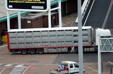 ValCameron_141113_0083 UNIT!