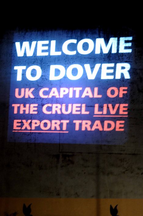 ValCameron061113_7690