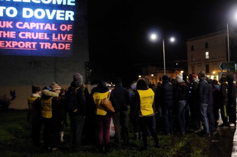 ValCameron061113_7699