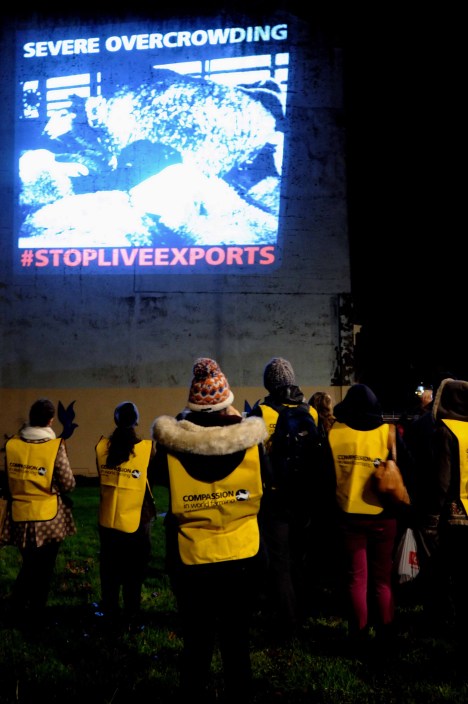 ValCameron061113_7705