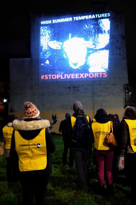 ValCameron061113_7707