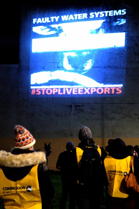 ValCameron061113_7709