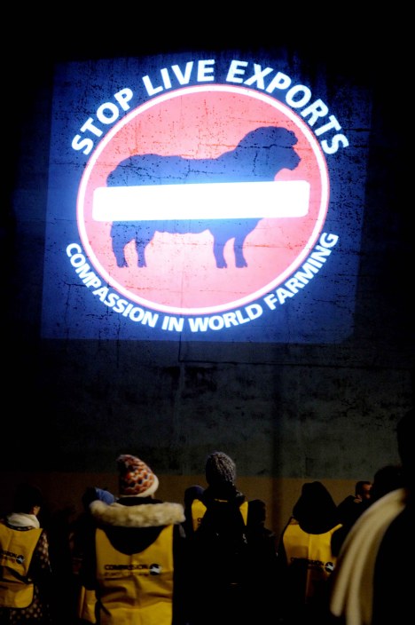 ValCameron061113_7714