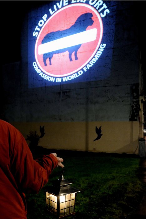 ValCameron061113_7717