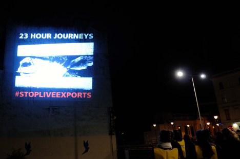 ValCameron061113_7730